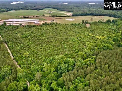 31 Acres of Wooded Land