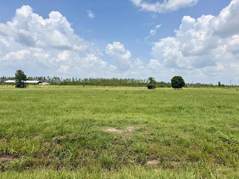 LAND - Wewahitchka, FL