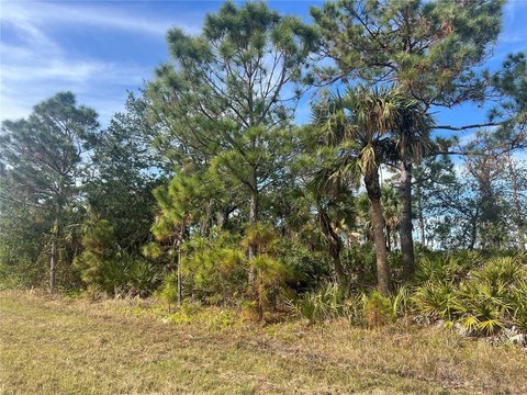 Port Charlotte Land, Build Paradise