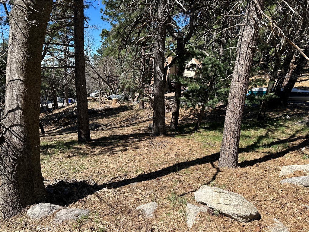 Picture 6