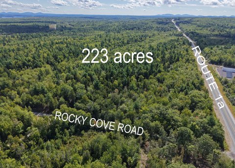 223-Acre Wooded Land Parcel