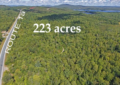 223-Acre Wooded Land Parcel