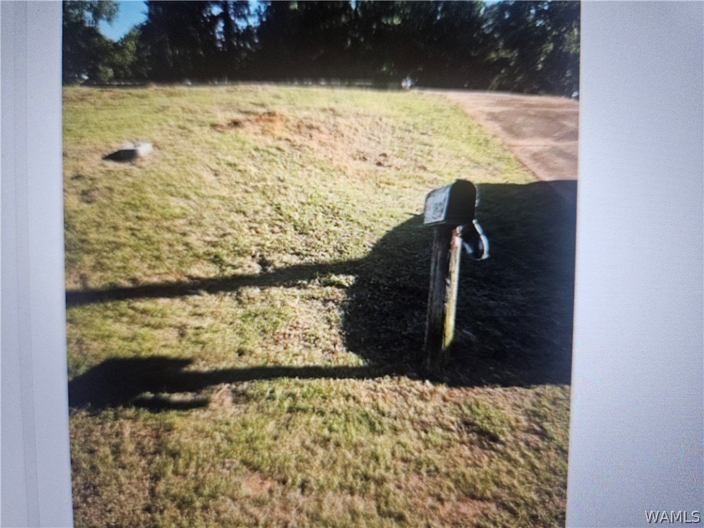 Picture 4