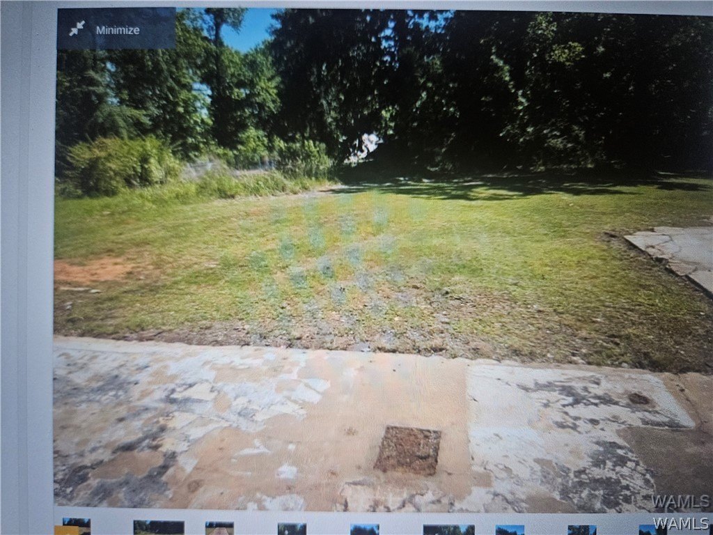 Picture 3