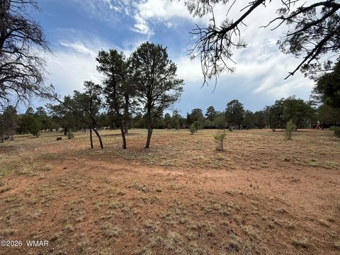 LAND - Overgaard, AZ