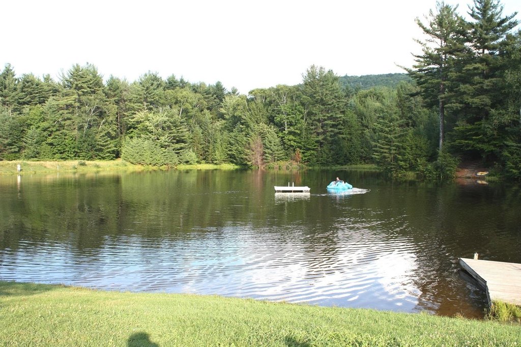 Picture 11