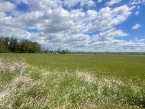 Waushara County Farmland Opportunity