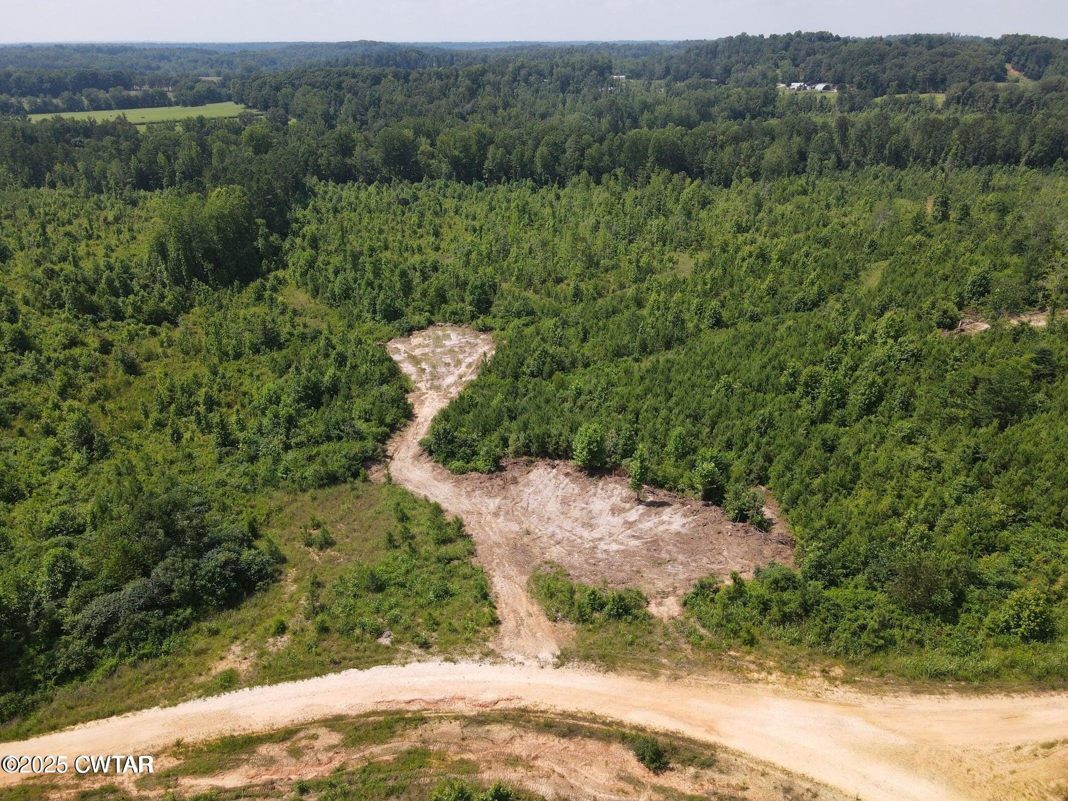 Bath Springs Land For Sale