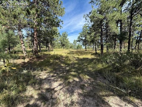 Secluded 5-Acre Land Parcel