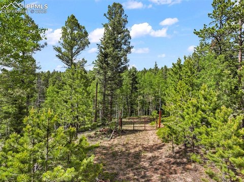 Divide, CO Treed Residential Lot