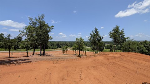 LAND - Winona, TX