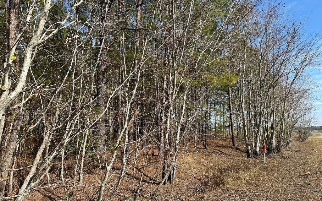 Picture 7