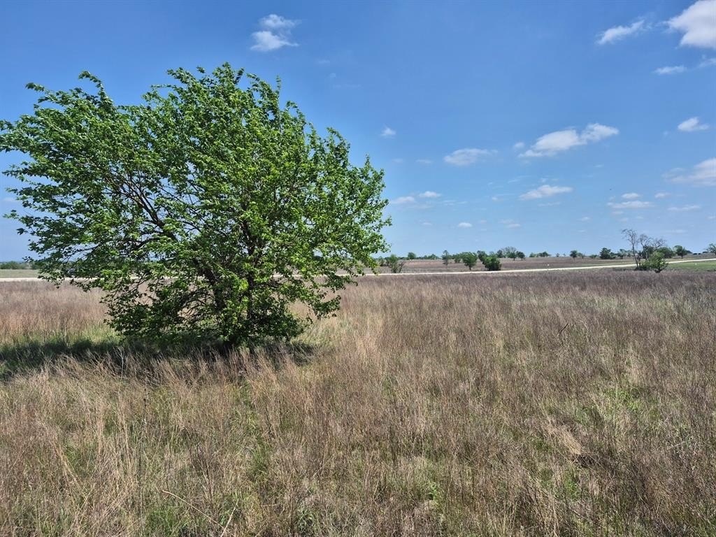 10 Acres of Open Land