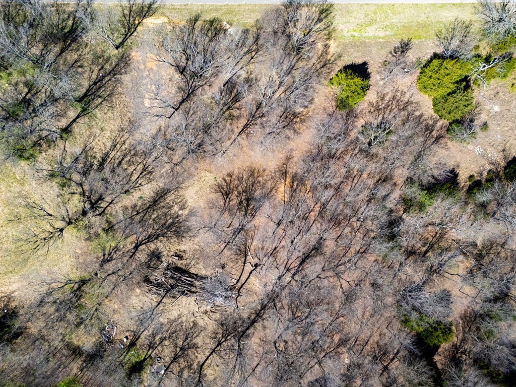Picture 16