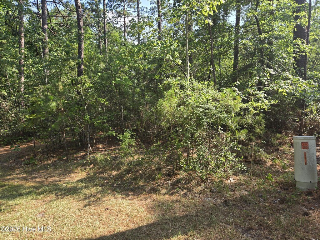 Picture 5