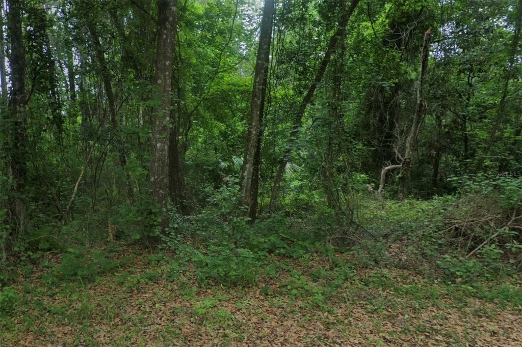 Picture 3