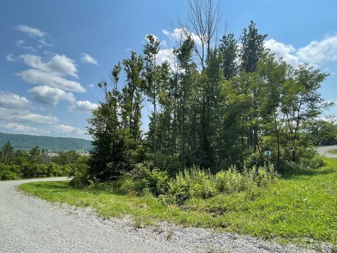 Hemlock Hills Vacant Lot