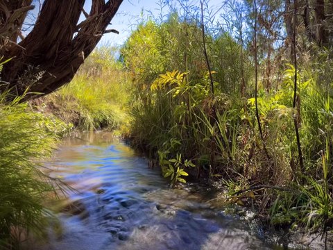 Land, El Prado, NM