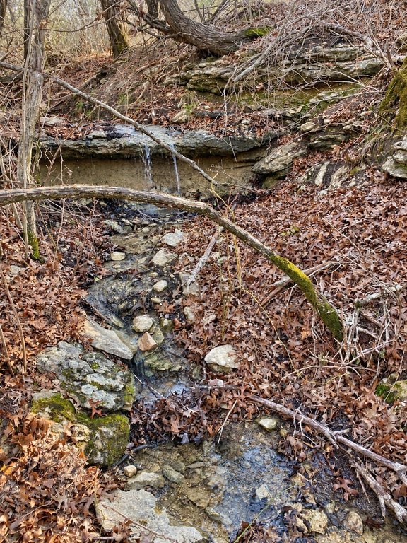 Picture 9