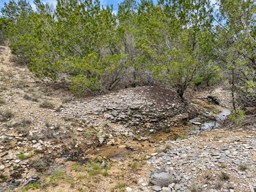 Picture 10