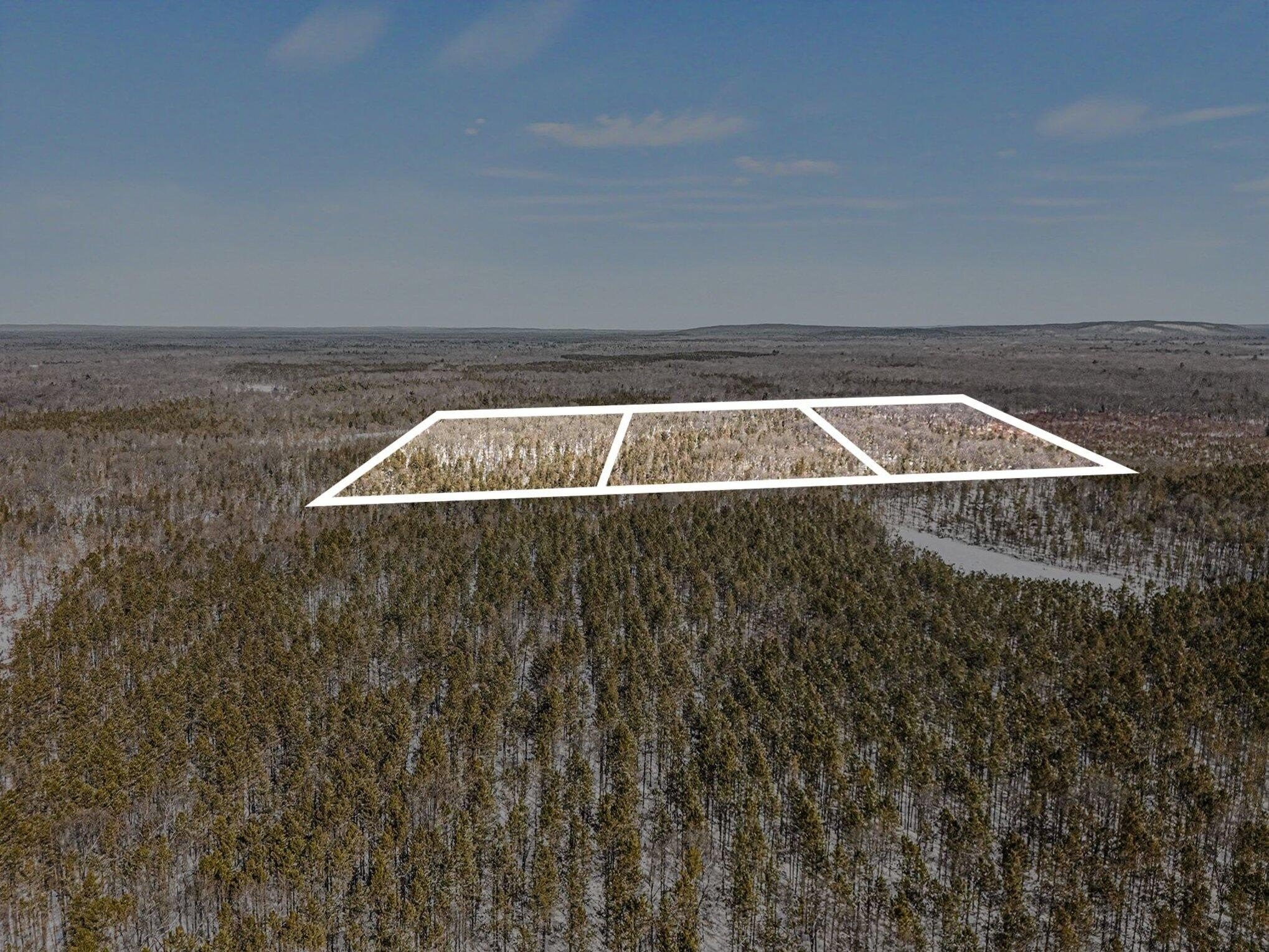 Land Surrounded by National Forest