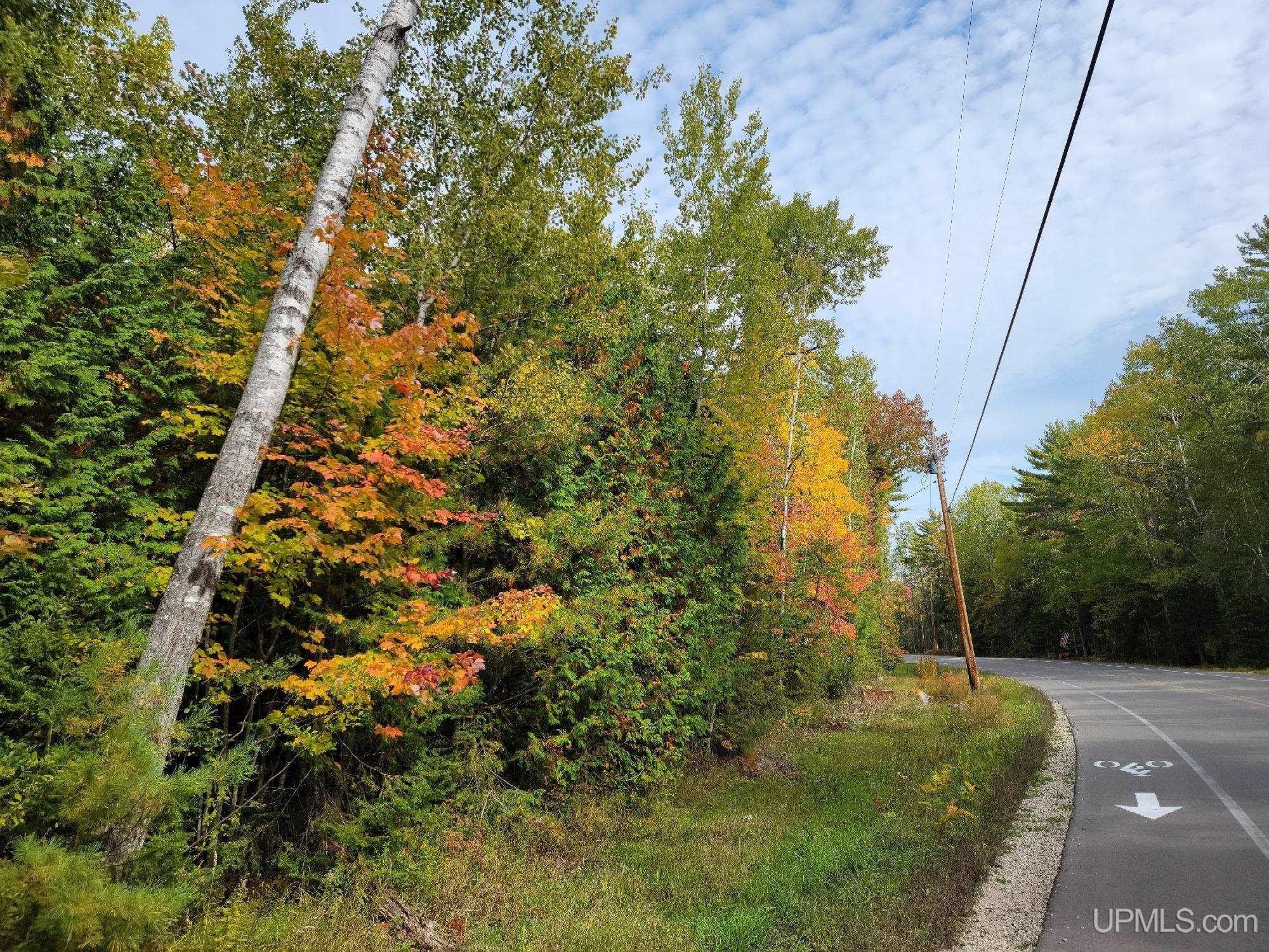 Wooded Lot Near Indian Lake