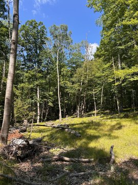 LAND - Canadian Lakes, MI