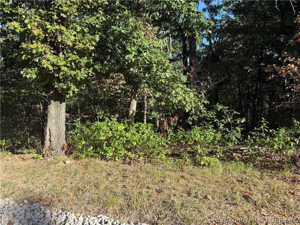 Picture 4