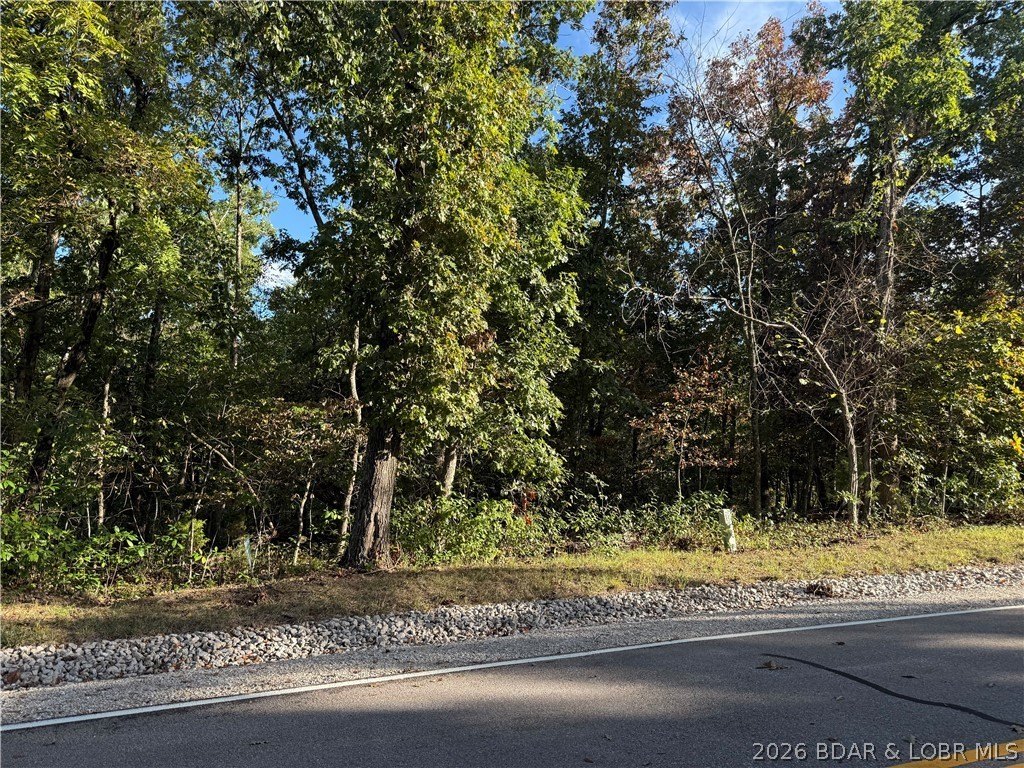 Picture 5