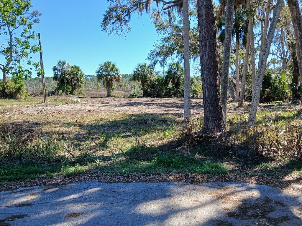 Picture 2