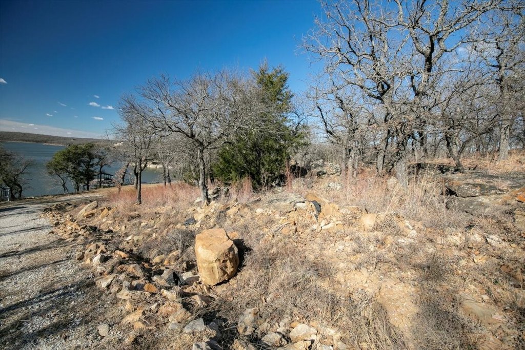 Picture 21