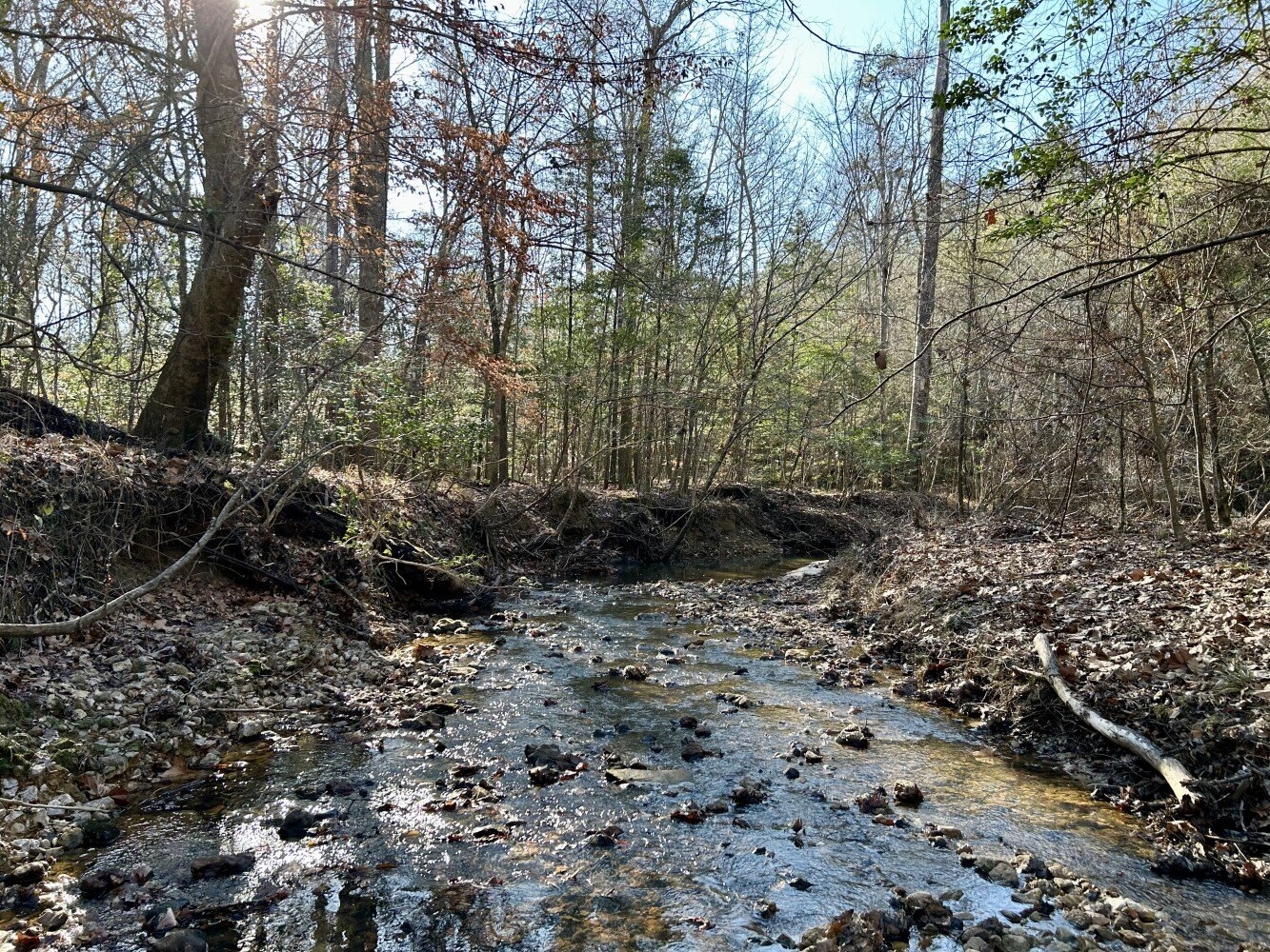 Toxey, AL Vacant Land