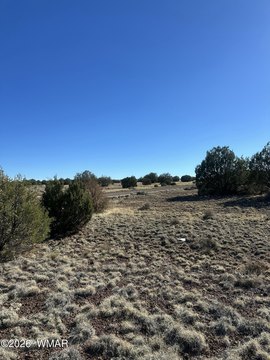 LAND - Concho, AZ