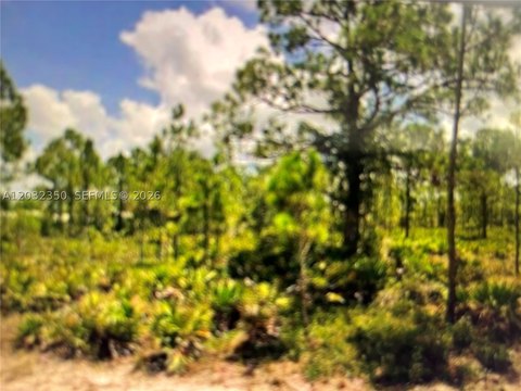 LAND - Punta Gorda, FL