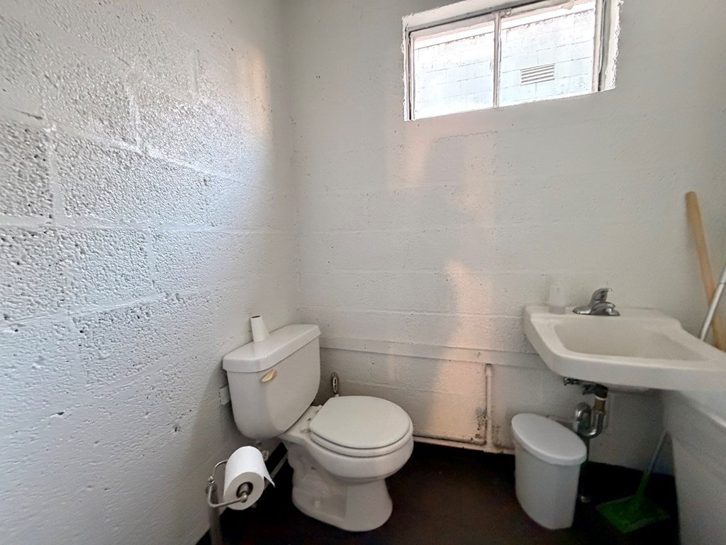 Picture 21