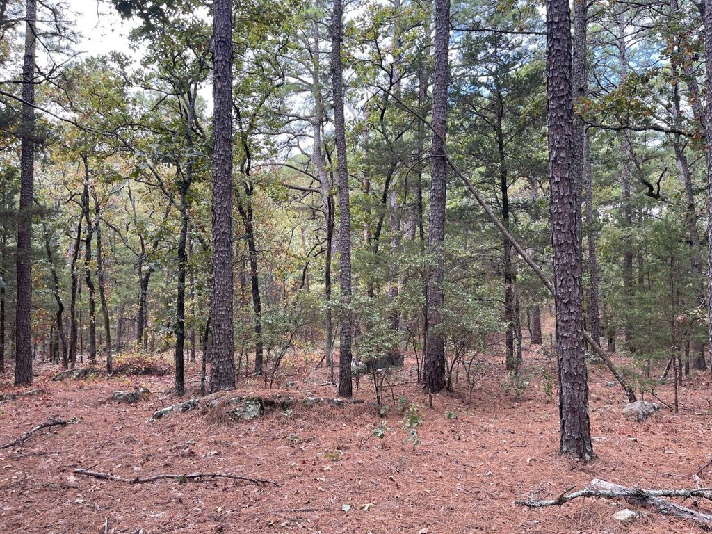 Picture 16
