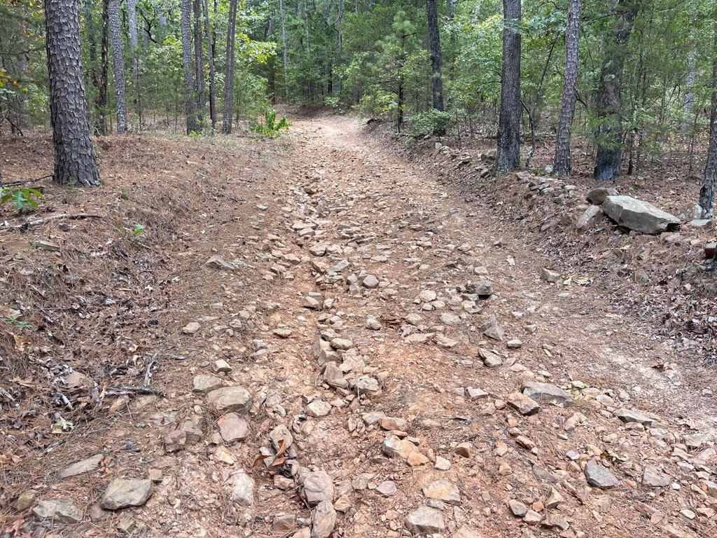 Picture 12