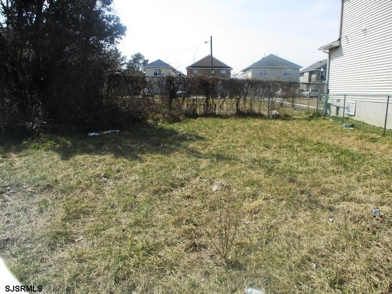 Picture 14