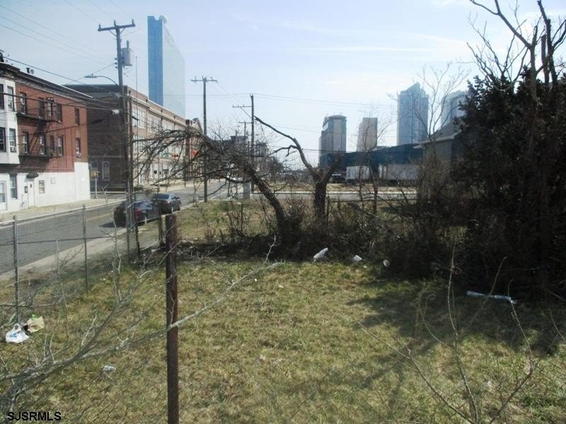 Picture 11