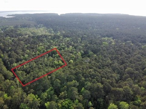 Wooded Acreage Near Lake Sam