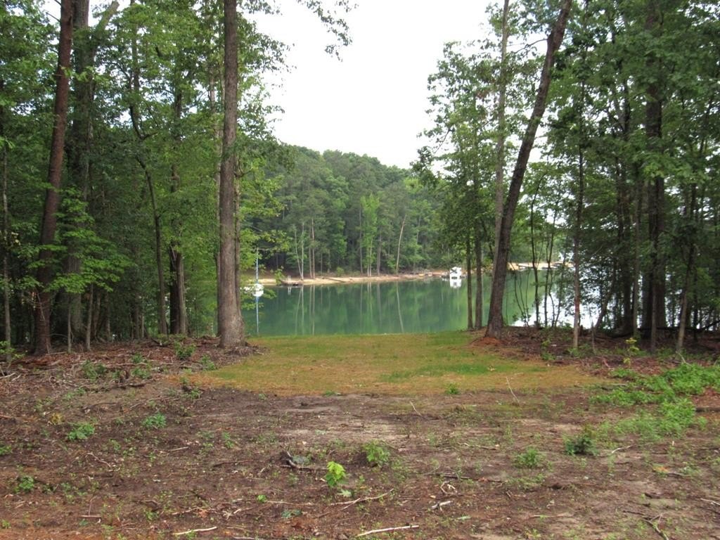 Picture 4