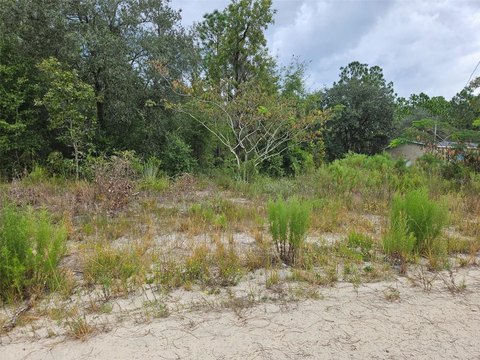 Land, BRONSON, FL