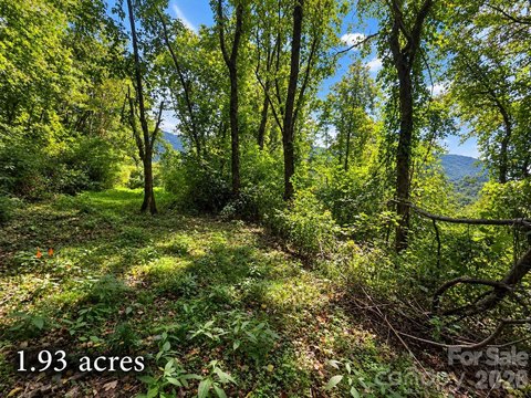 Land, Waynesville, NC