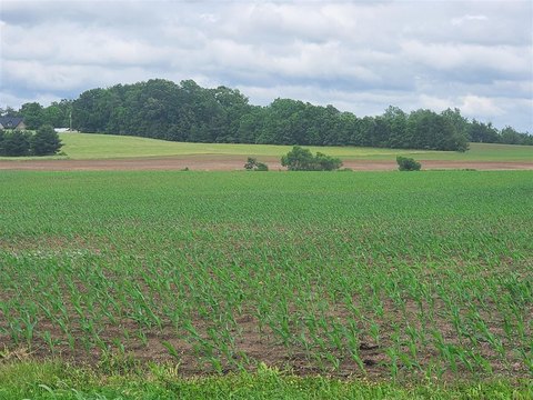 Farmland with Dual Road Frontage