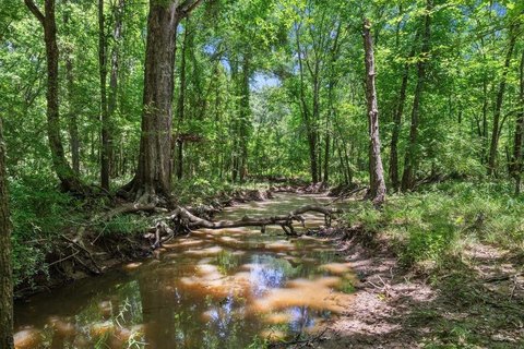 Recreation Waterfront Land Tract