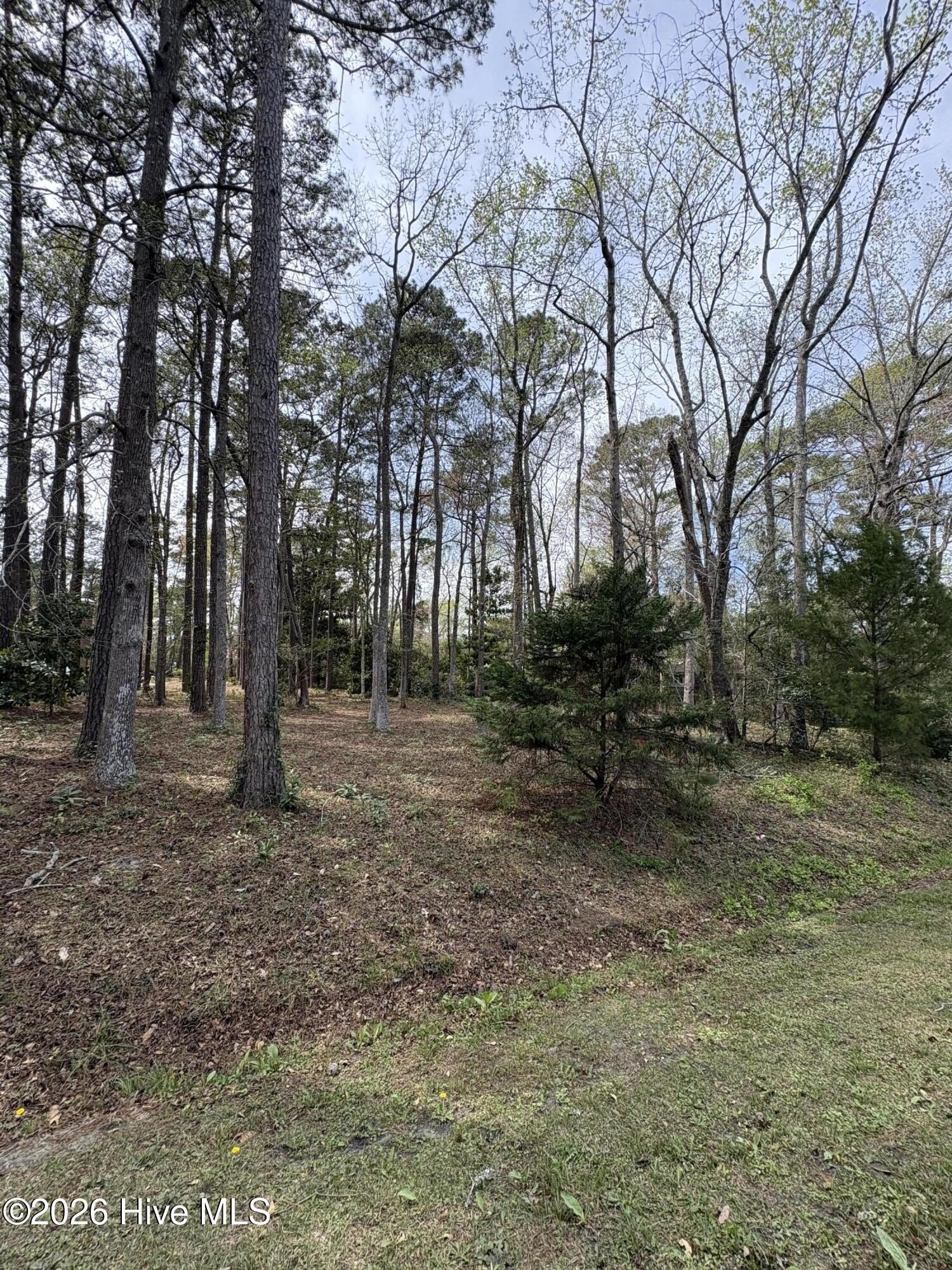 Carolina Shores Land For Sale