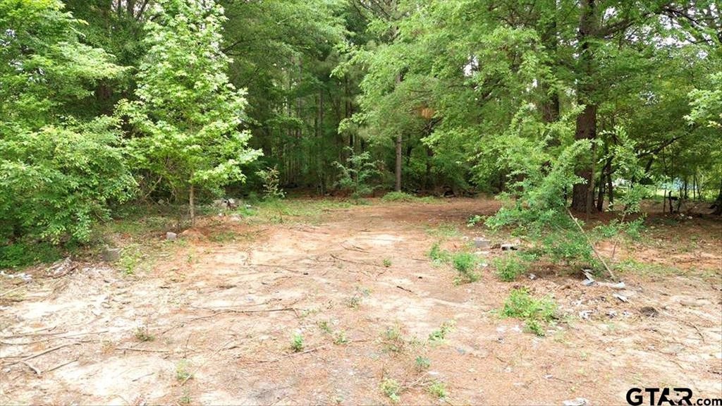 Picture 10