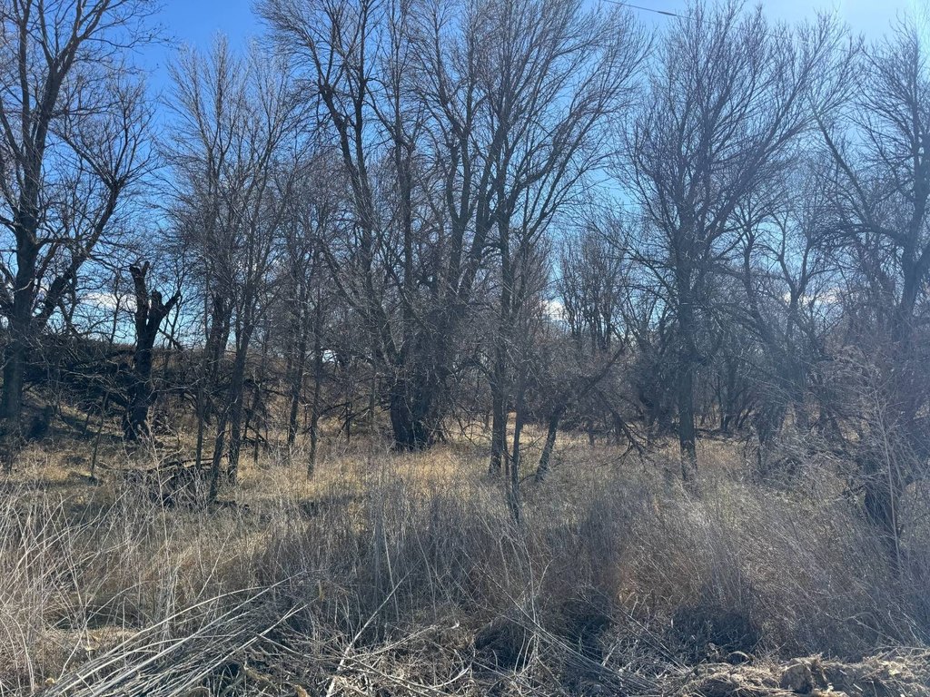 Picture 30