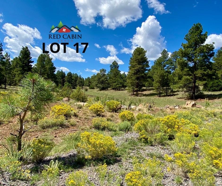 Scenic Land in Red Cabin Ranch