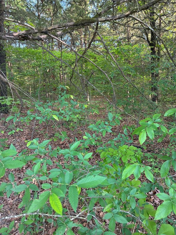 Picture 7